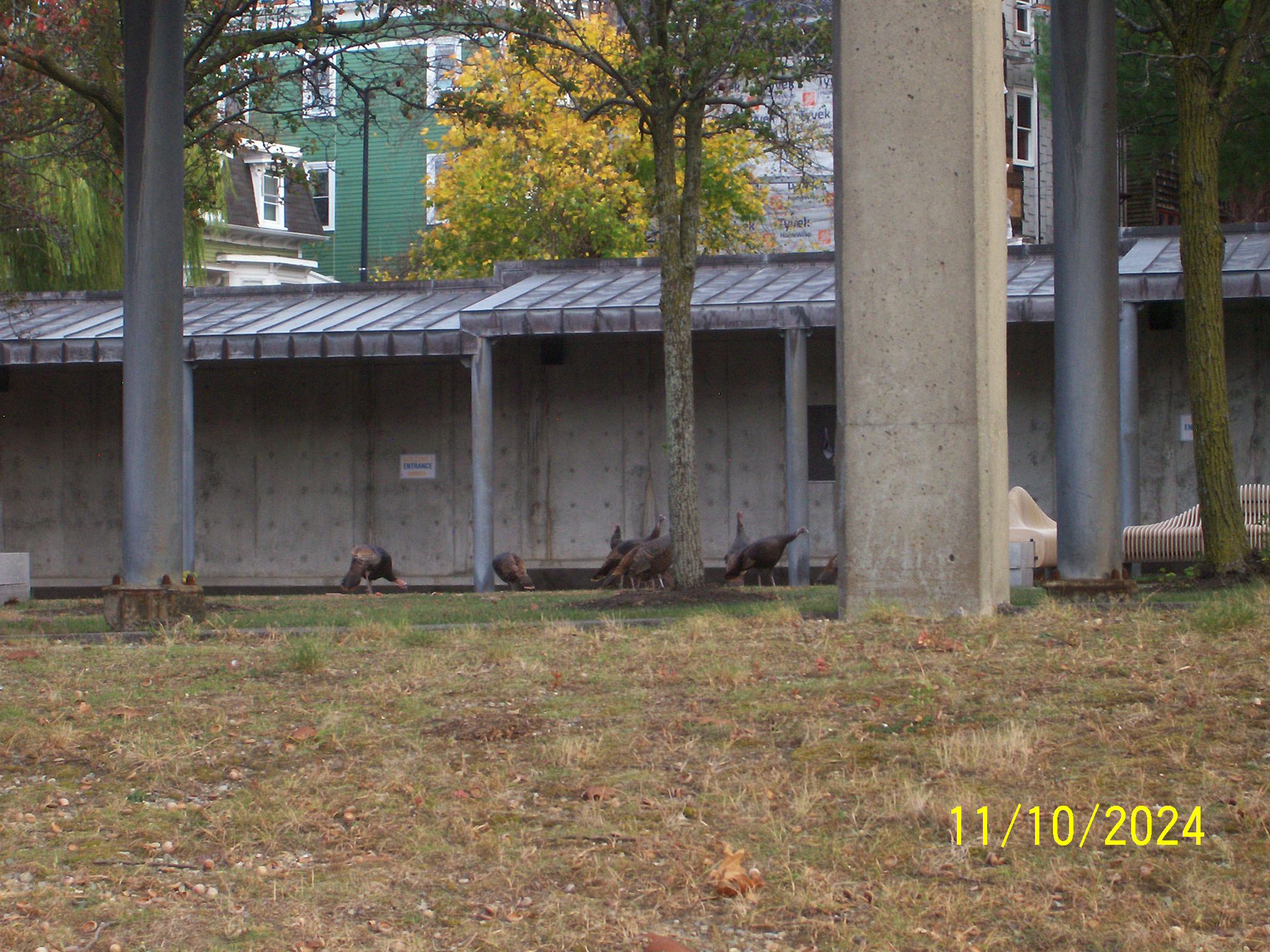 100_0137.JPG