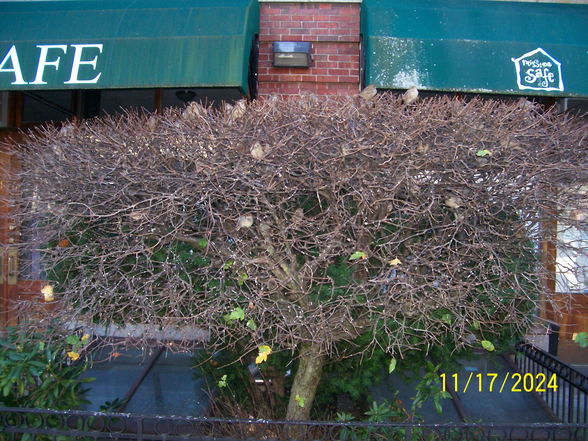100_0138.JPG
