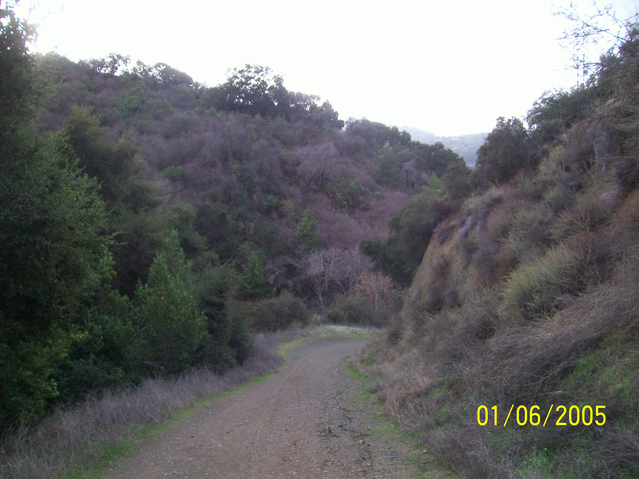 100_0145.JPG