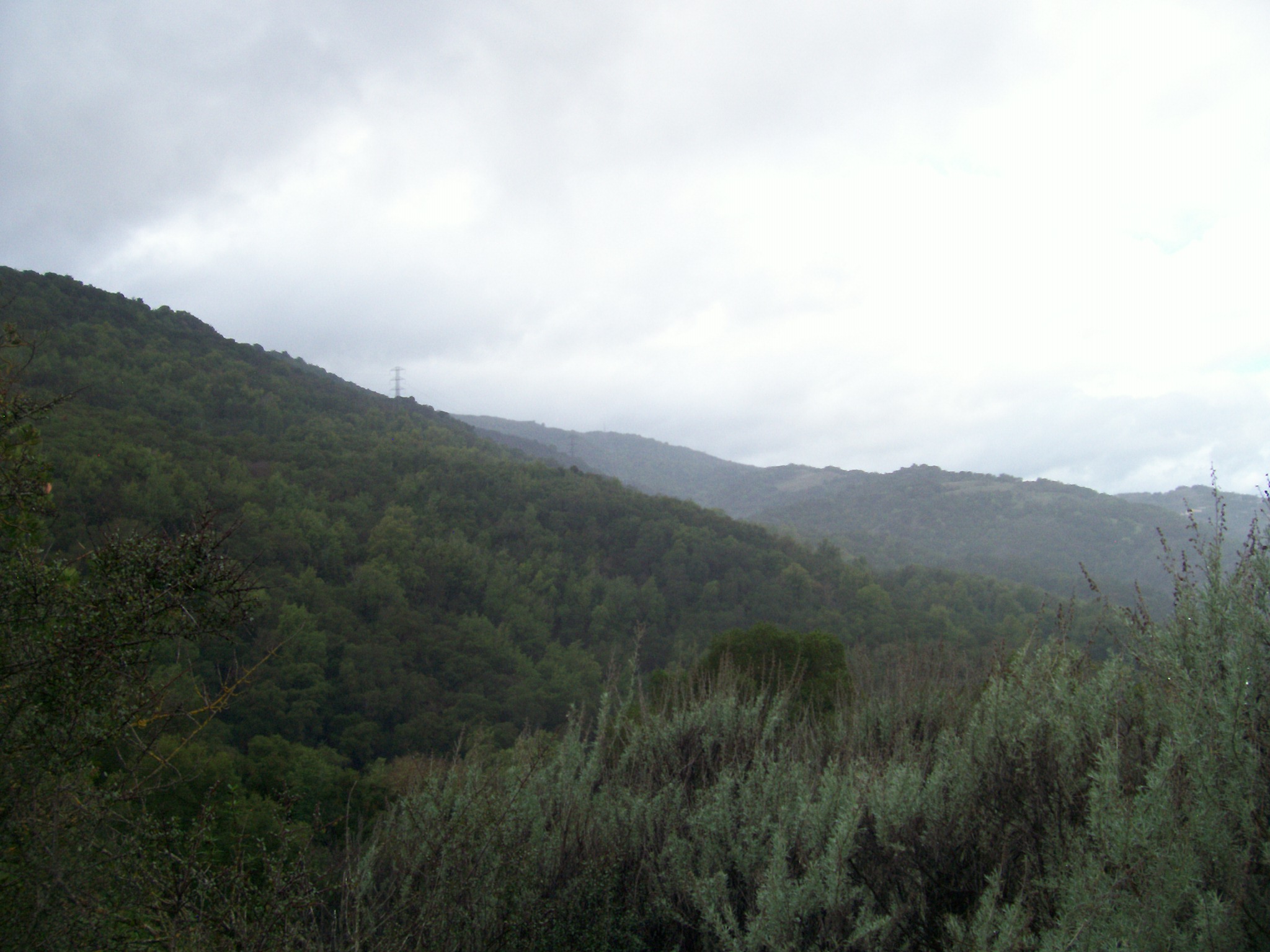 100_0530.JPG