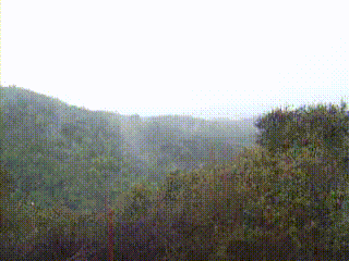 100_0572.gif