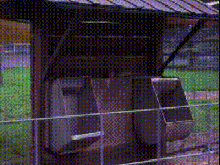 100_0574.gif