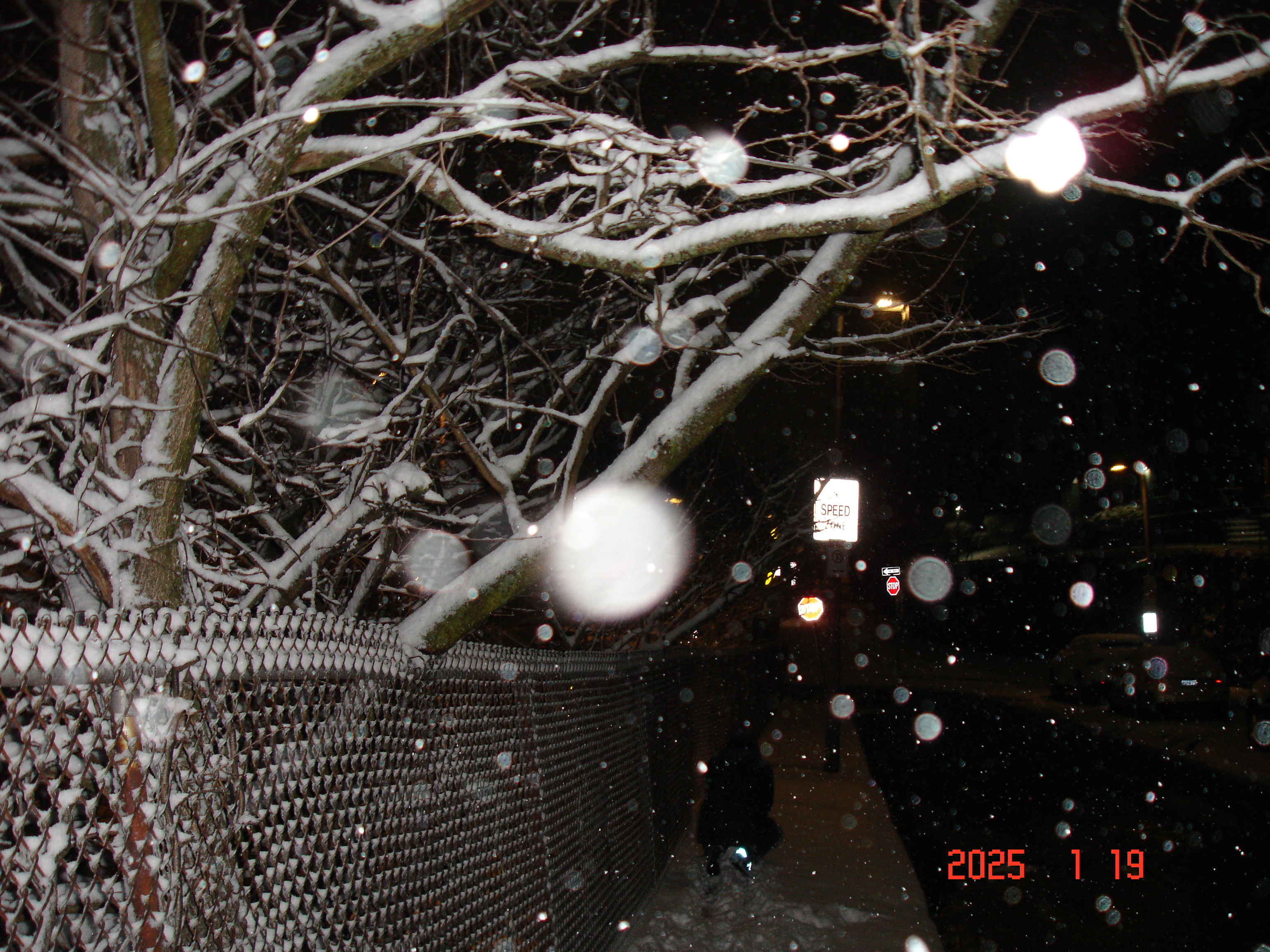 DSC00163.JPG